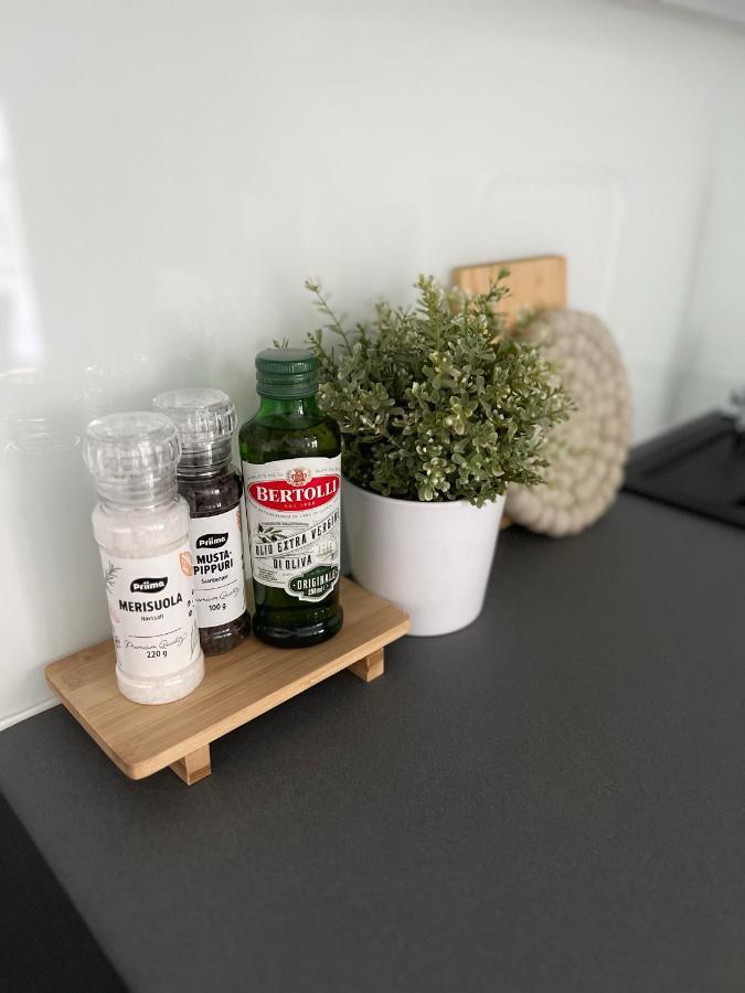 City Apartment Arctic Taiga ロヴァニエミ エクステリア 写真